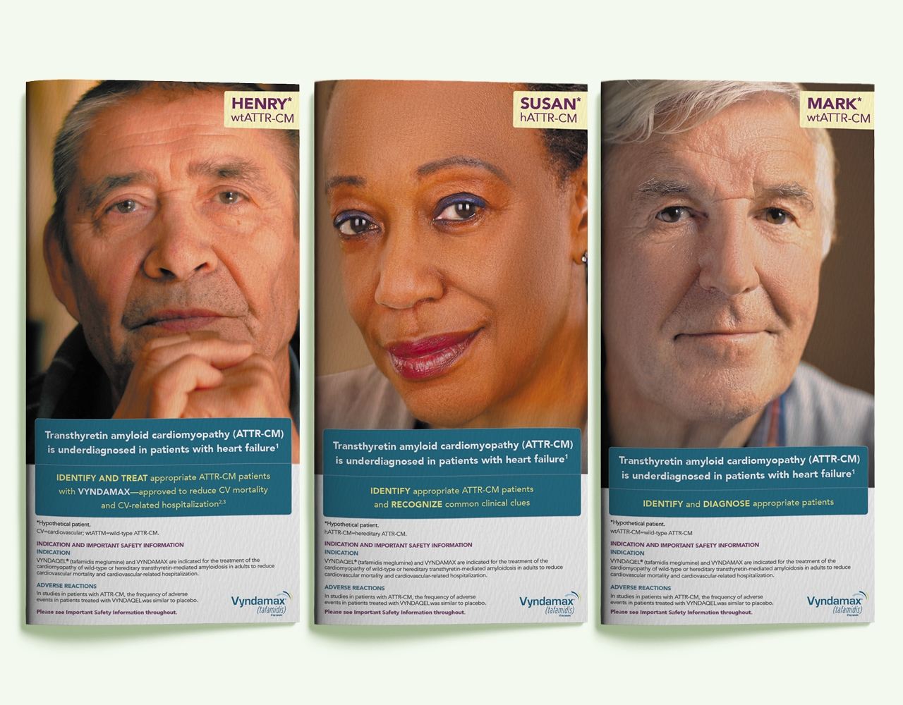 Vyndamax Slim Print Brochures